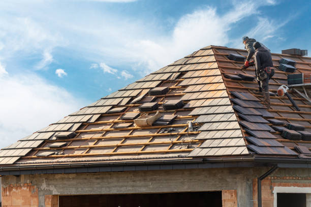 Best Roof Ventilation Installation  in Mount Vernon, AL