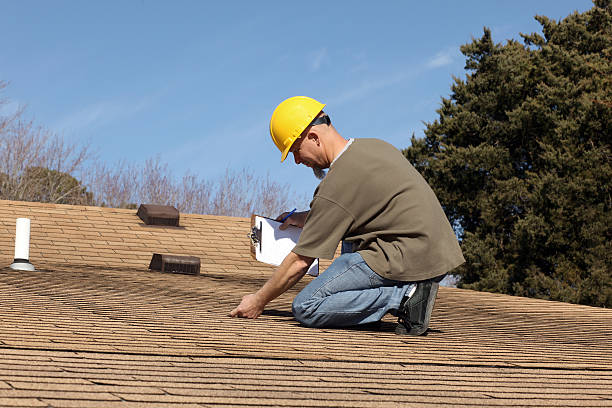 Best Roof Insulation Installation  in Mount Vernon, AL