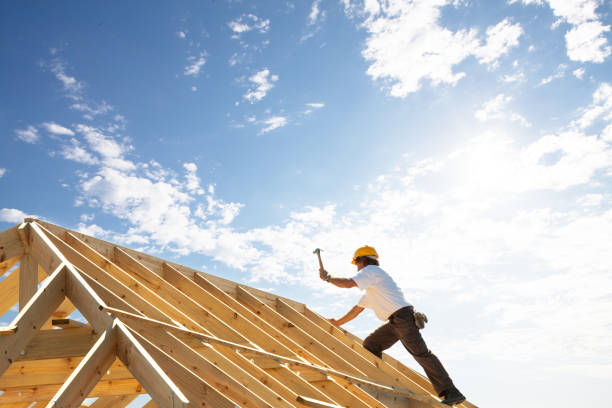 Best Asphalt Shingle Roofing  in Mount Vernon, AL